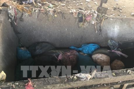 Nửa tấn mỡ, thịt bẩn ngụy trang trên xe khách giường nằm