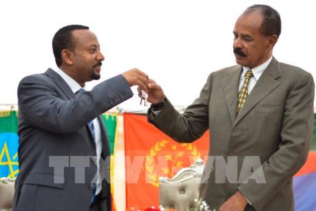 Mục đích của các quốc gia vùng Vịnh tại khu vực Sừng châu Phi