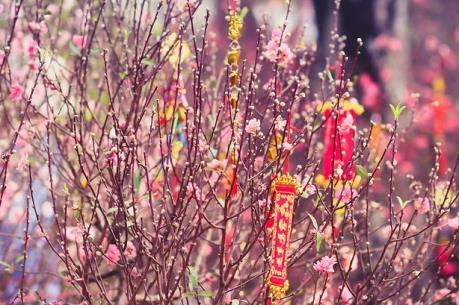 Những món quà ý nghĩa dành tặng người thân dịp Tết