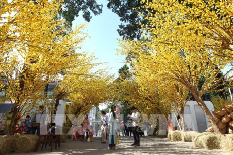 Những điểm vui chơi đón Tết Nguyên đán tại Tp. Hồ Chí Minh