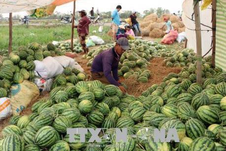 Nông dân kỳ vọng các loại nông sản đặc sản sẽ được giá