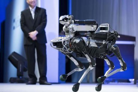 Robot "tí hon" - Trợ tá đắc lực đầy hứa hẹn