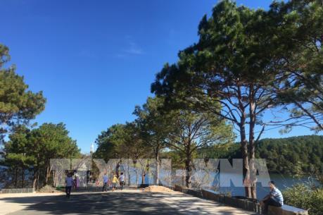 Biển Hồ Gia Lai - ấn tượng hoang sơ núi rừng Tây Nguyên