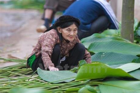 Lá dong “linh hồn” của Tràng Cát 