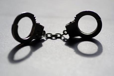 "Lưới trời 2019" bắt đầu săn lùng quan tham Trung Quốc