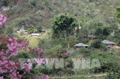 Sắc xuân ở thung lũng Na Ư