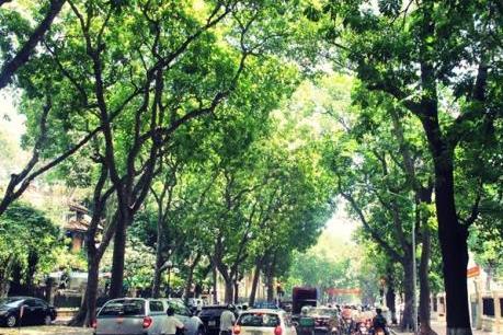 Dự báo thời tiết ngày 11/2: Không khí lạnh có khả năng gây mưa ở Bắc Bộ