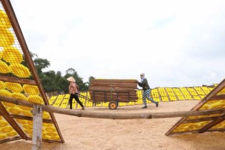 Rộn ràng “Kinh đô” bún khô, bánh tráng An Thái