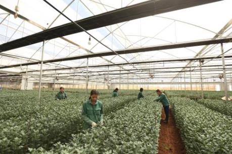 PAN có triển vọng kinh doanh mảng giống cây trồng