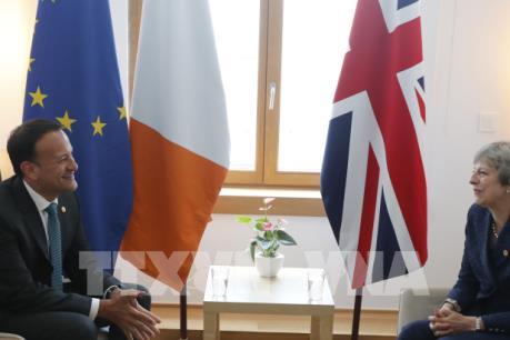 EU không có kế hoạch họp thượng đỉnh khẩn về Brexit