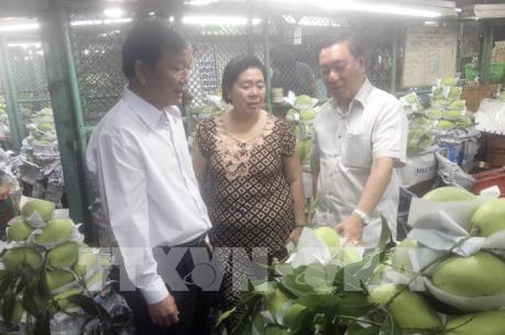 Hàng Tết nườm nượp "nhập" chợ đầu mối