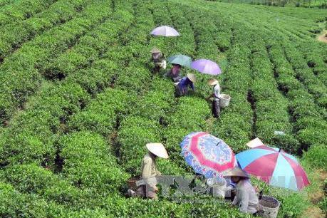 Phê duyệt Quy hoạch chung xây dựng Khu Du lịch quốc gia Mộc Châu