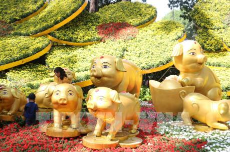 Rộn ràng Hội hoa Xuân Kỷ Hợi Thành phố Hồ Chí Minh