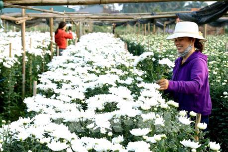 Dự báo thời tiết hôm nay 1/2: Bắc Bộ mưa nhỏ, Nam Bộ nắng nóng 35 độ C