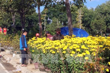 Giá hoa, cây cảnh giảm vẫn vắng khách