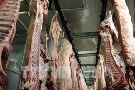 Gần 800 kg thịt bò "bẩn" được tuồn vào Pháp