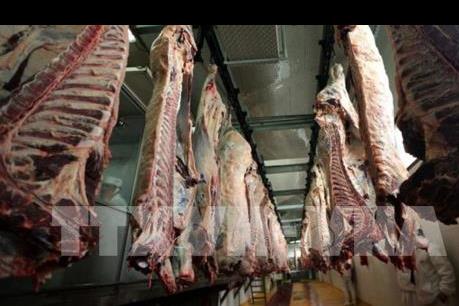 Hàng loạt cơ sở chế biến thực phẩm ở Mỹ ngừng hoạt động do COVID-19