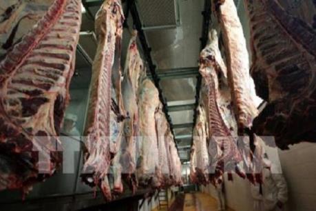 Thịt bò nghi nhiễm bẩn từ Ba Lan bị phát hiện tại Séc