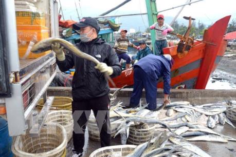 Hàng trăm ngư dân tỉnh Phú Yên bám ngư trường cùng nhau đón Tết trên biển