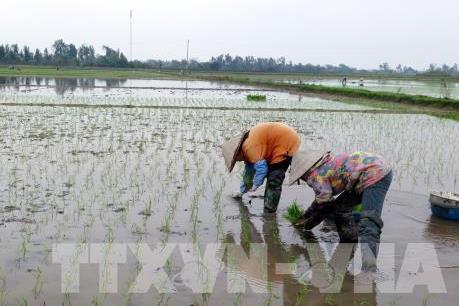 Bắc Ninh chủ động cung cấp nước phục vụ sản xuất vụ Xuân