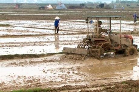 Hưng Yên bơm nước đổ ải gần 30 nghìn ha
