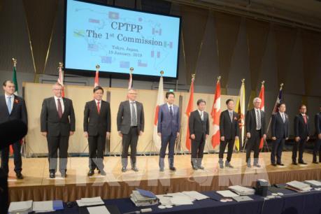 Sắp trình Quốc hội Luật sửa đổi một số luật để thực thi CPTPP