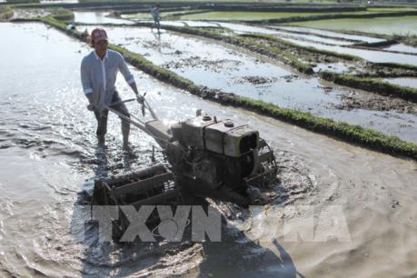 Trên 83% diện tích đã có nước cho gieo cấy vụ Đông Xuân