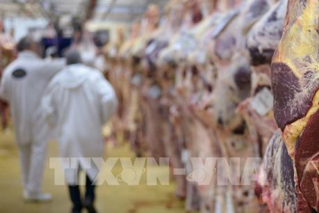 Bê bối thịt bò bẩn đe dọa ngành chế biến thịt Ba Lan