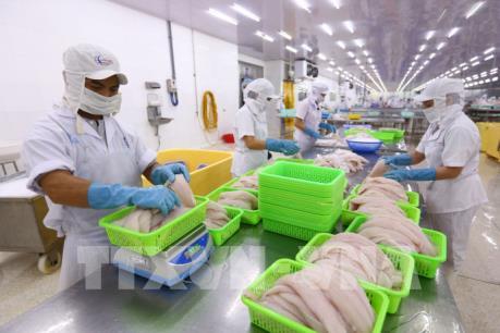 Xúc tiến thương mại - Bài 2: Khai phá thị trường mới