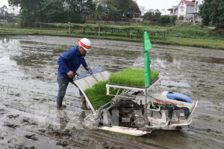 Nô nức lễ hội xuống đồng Xuân Kỷ Hợi 2019