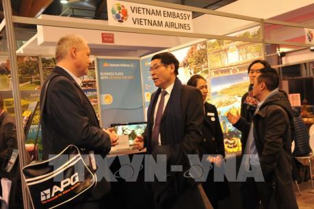 Người Bỉ ngày càng thích thú đến du lịch Việt Nam