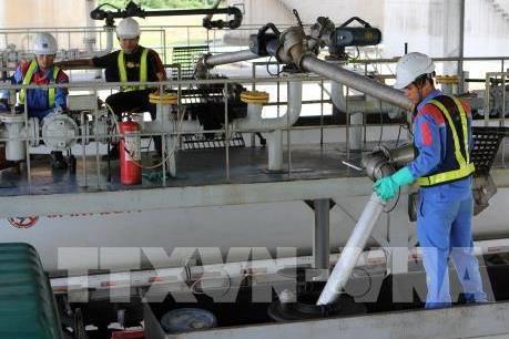 Quỹ bình ổn giá xăng dầu Petrolimex giảm mạnh