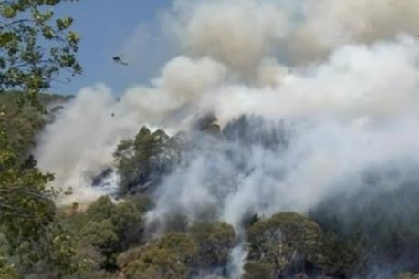 Cháy rừng tại New Zealand