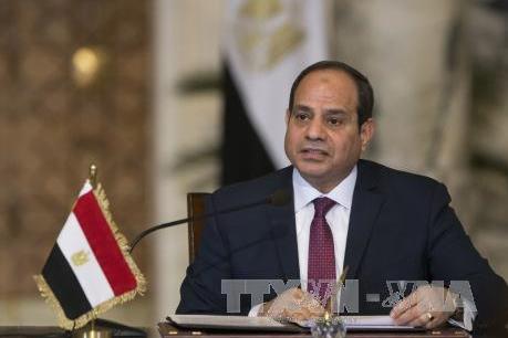 Ai Cập kêu gọi các nhà lãnh đạo châu Phi thúc đẩy phát triển kinh tế - xã hội