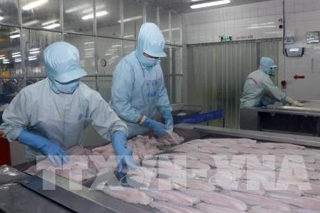 Tăng xuất khẩu, nhiều doanh nghiệp cá tra báo lãi trong quý 2/2019