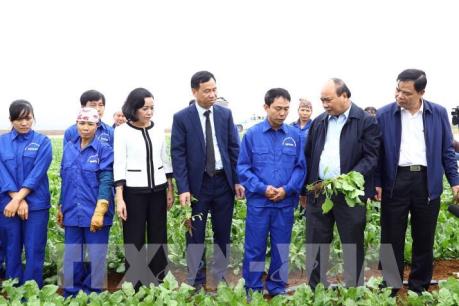 Thủ tướng: Nông nghiệp thông minh là đòn bẩy để đạt mục tiêu kép