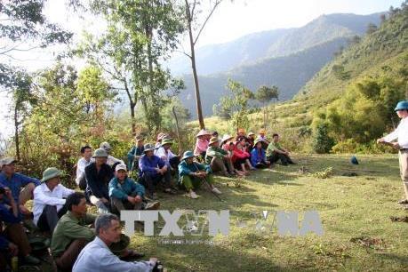Công điện khẩn về phòng cháy, chữa cháy rừng