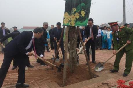 Hà Nội đặt mục tiêu trồng 400.000 cây xanh