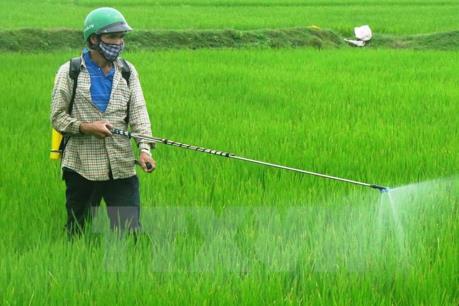 Loại bỏ thuốc bảo vệ thực vật chứa hai hoạt chất Chlorpyrifos Ethyl và Fipronil