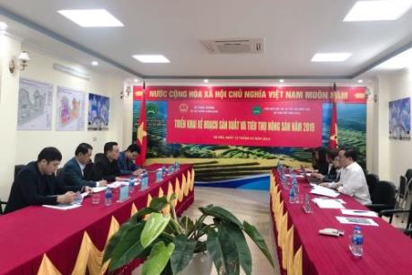 Chất xúc tác để nông sản sạch chiếm lĩnh thị trường
