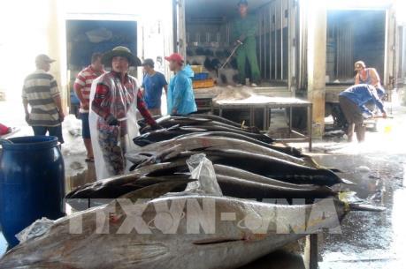 Những niềm vui vươn khơi sau Tết