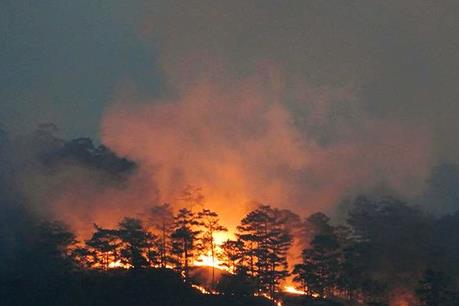 Tuyến đường đèo Prenn đang bị phong tỏa để thuận lợi chữa cháy