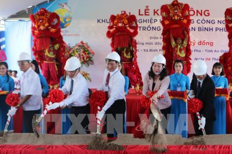 Công nghệ sục khí nano và chất xúc tác bakture: Bước đột phá cho ngành cá tra