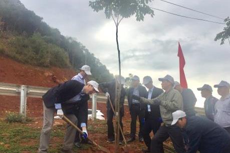 Phát động trồng cây, nâng cao sinh kế cho người trồng rừng