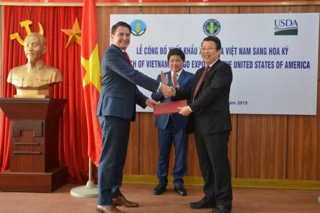 Xoài Việt Nam chính thức được xuất khẩu sang Hoa Kỳ​