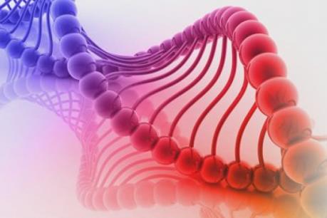 Lần đầu tiên tế bào gốc được cấp phép điều trị tổn thương tủy sống