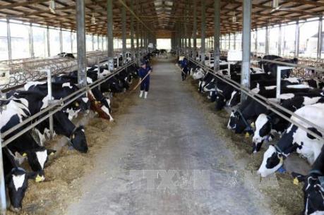 Hơn 64.000 tỷ đồng đầu tư vào miền Tây Nghệ An