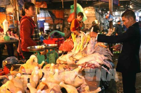 Hà Nội công bố danh mục thủ tục hành chính về an toàn thực phẩm