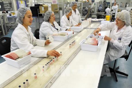 Vaccine 1 mũi chống lại tất cả các chủng virus cúm sắp được điều chế