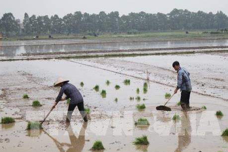 Hà Nội còn nhiều địa phương mới có 80% diện tích lấy được nước cho vụ Xuân